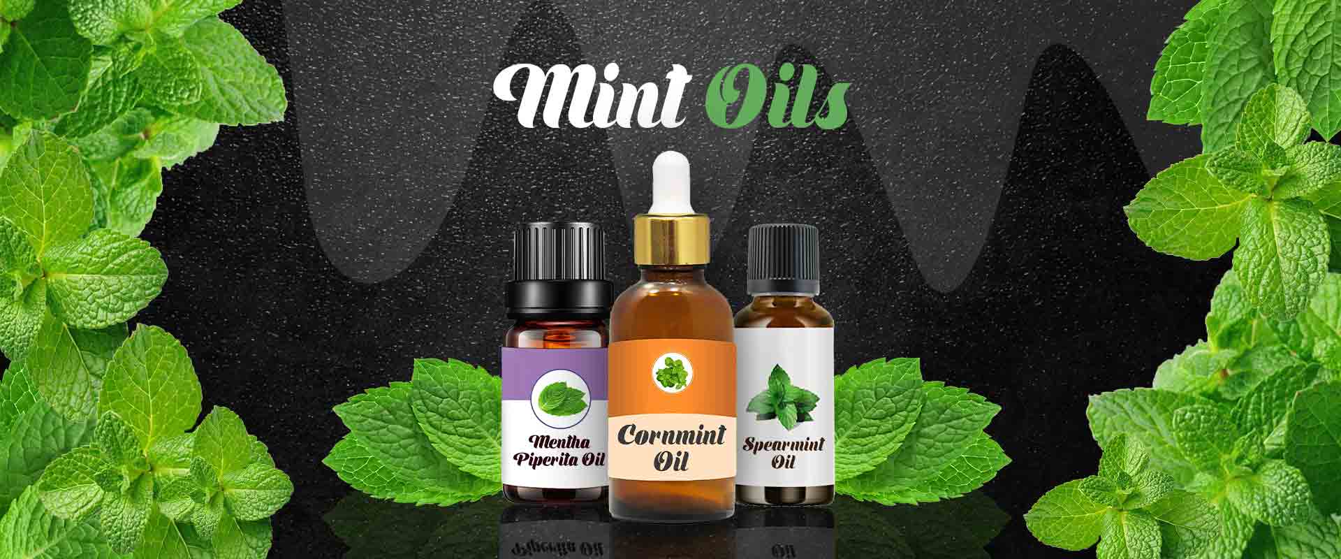 Mint Oils Manufacturers