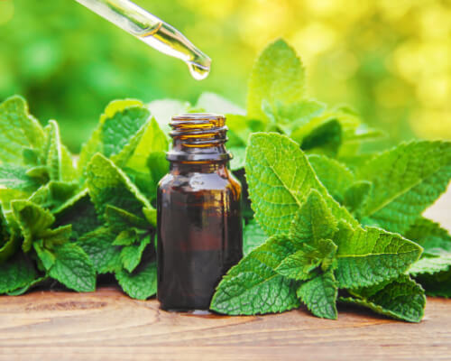 Common Uses Of Essential Oils Suppliers