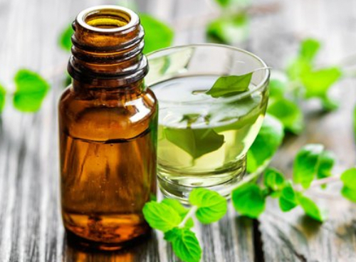 From Toothpaste to Perfume: Uses of Dementholised Peppermint Oil Suppliers