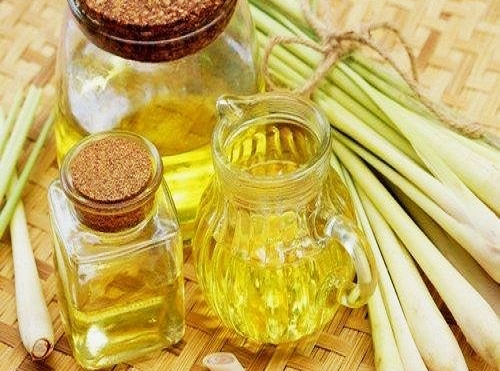 Natural Muscle Pain Relief with Lemongrass Oil Suppliers