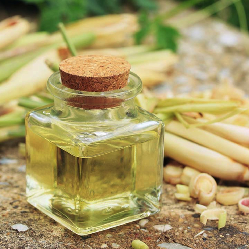 The Invigorating Health Benefits of Lemongrass Oil Suppliers