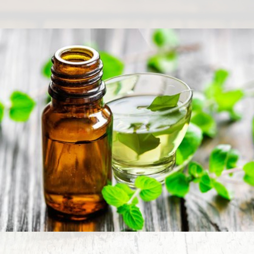 Dementholised Peppermint Oil Suppliers