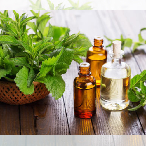 Natural Peppermint Oil In Beldubi