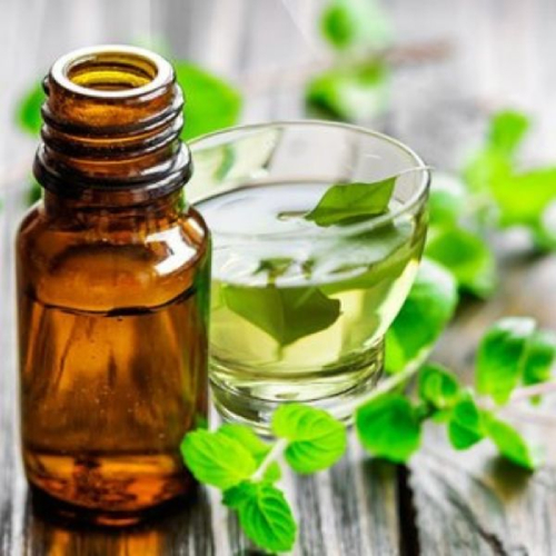 Peppermint Oil In Chandpara