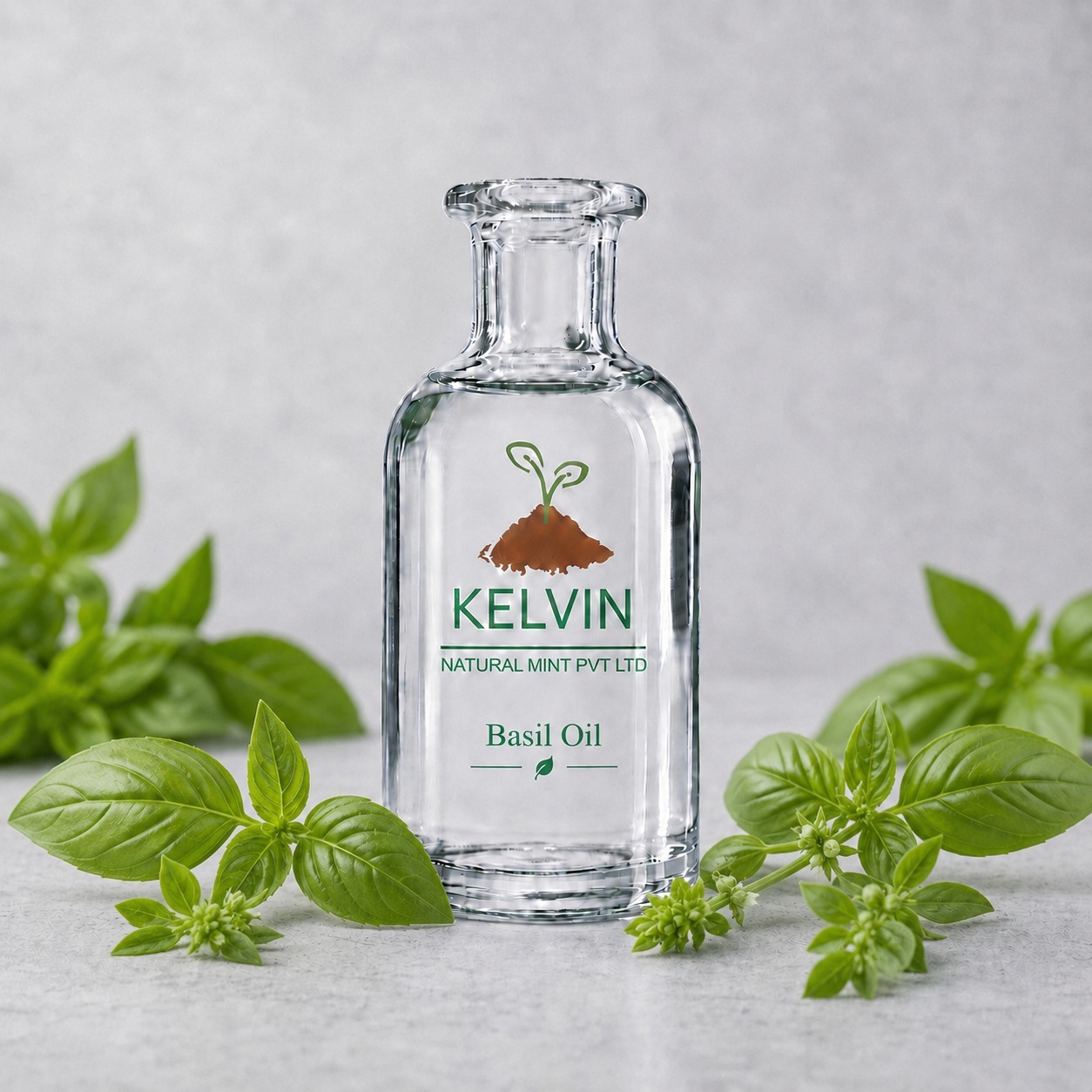 Basil Oil Exporters