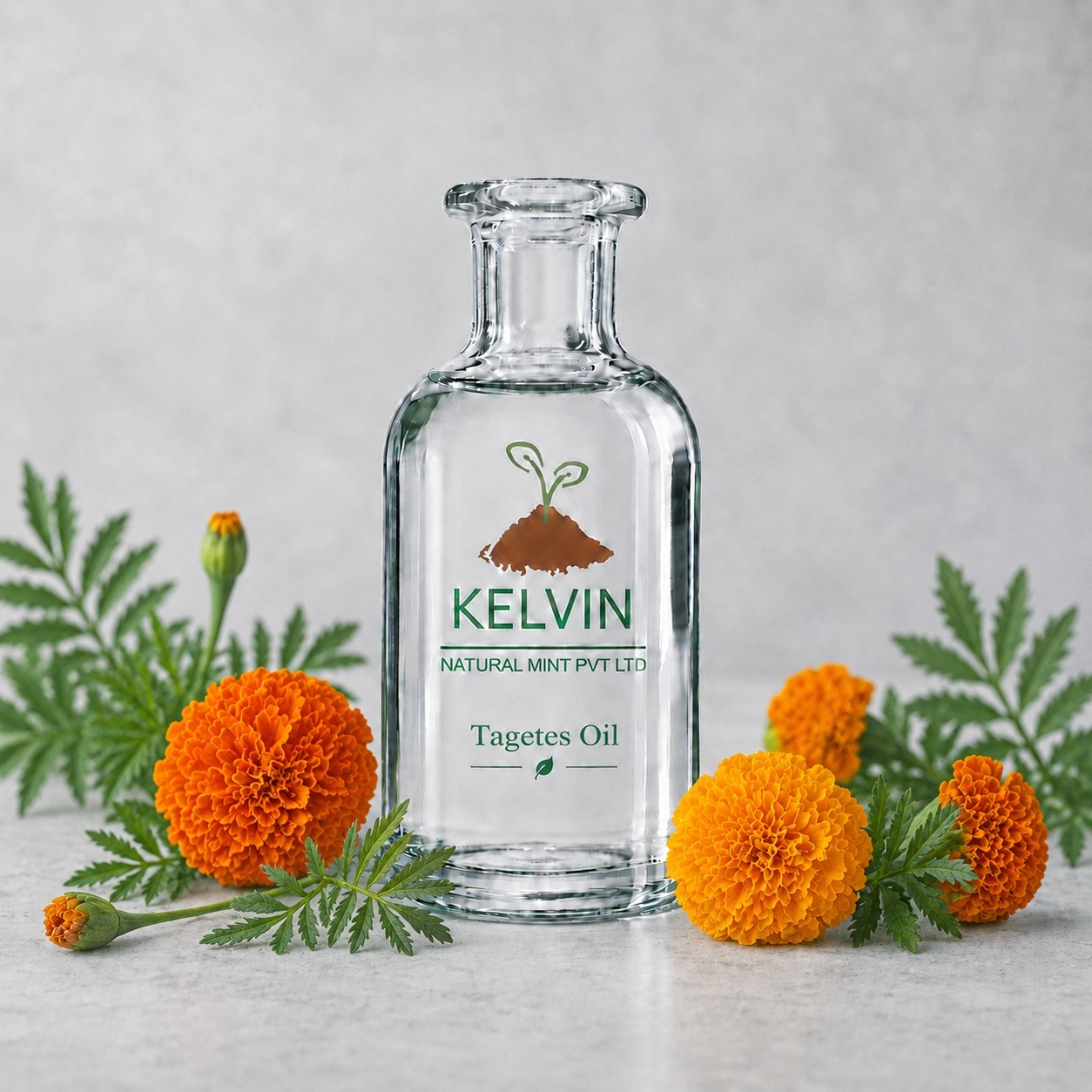 Tagetes Oil Exporters
