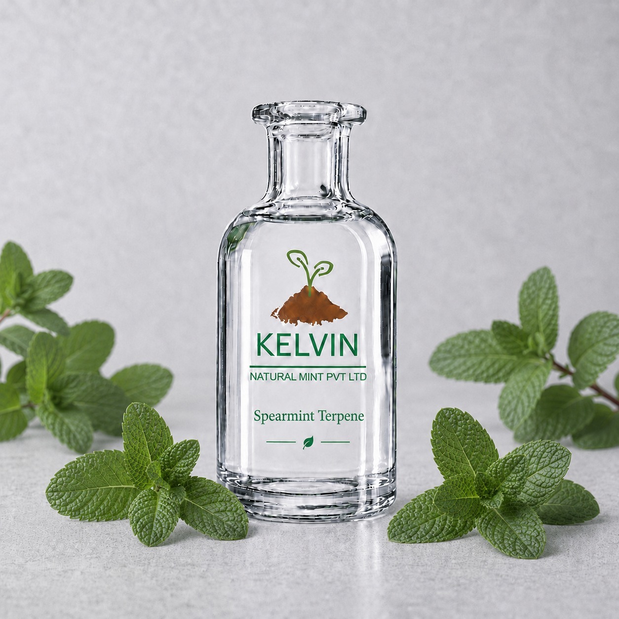 Spearmint Terpenes Exporters