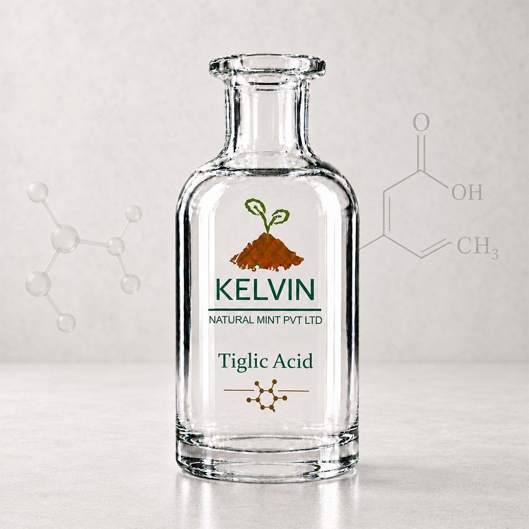 Tiglic Acid Exporters