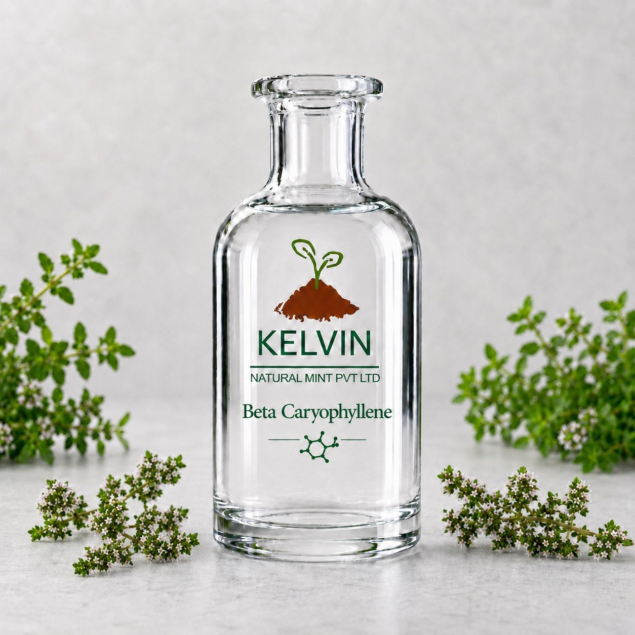 Beta Caryophyllene Exporters