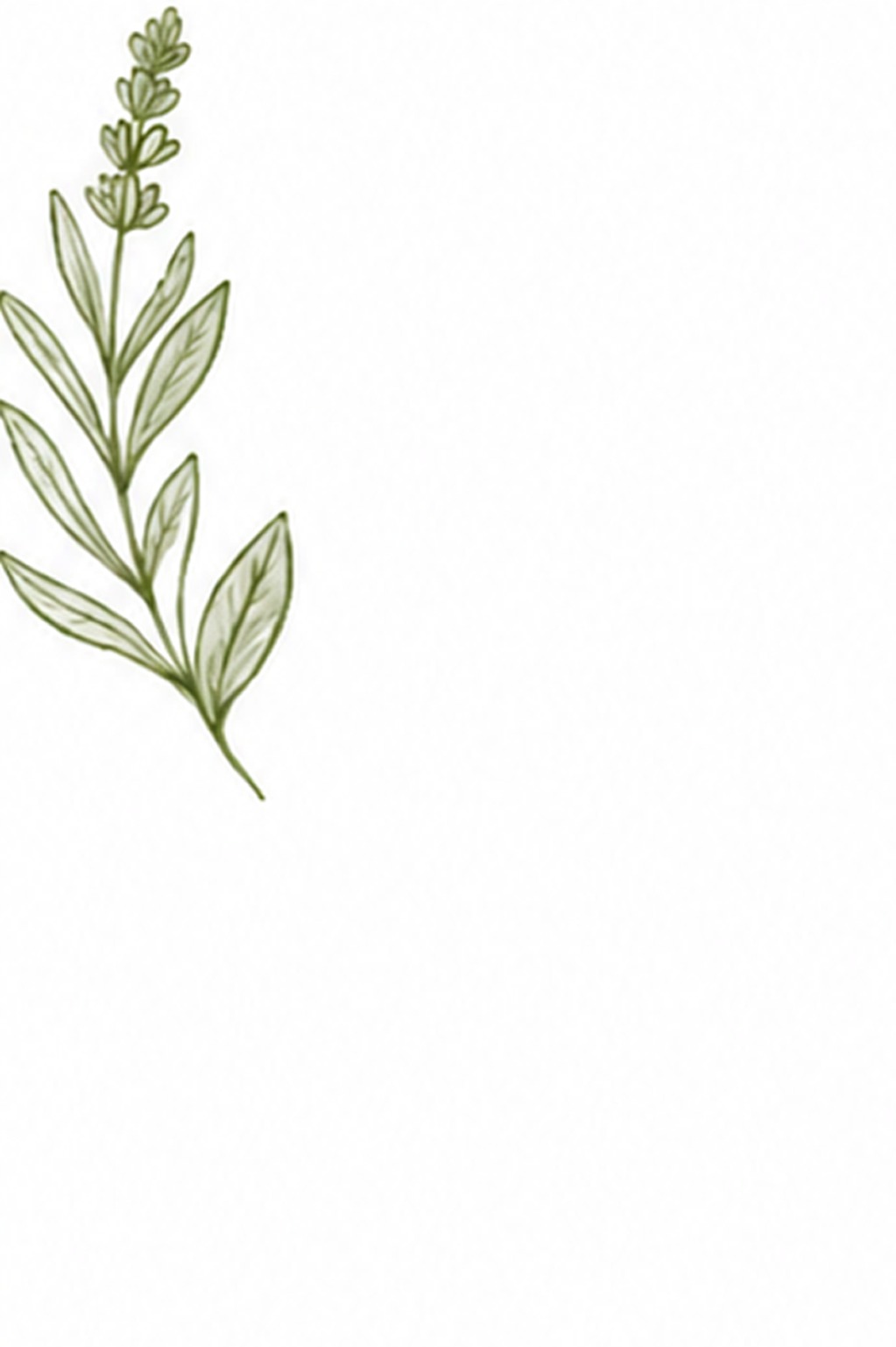 Para Cymene Suppliers