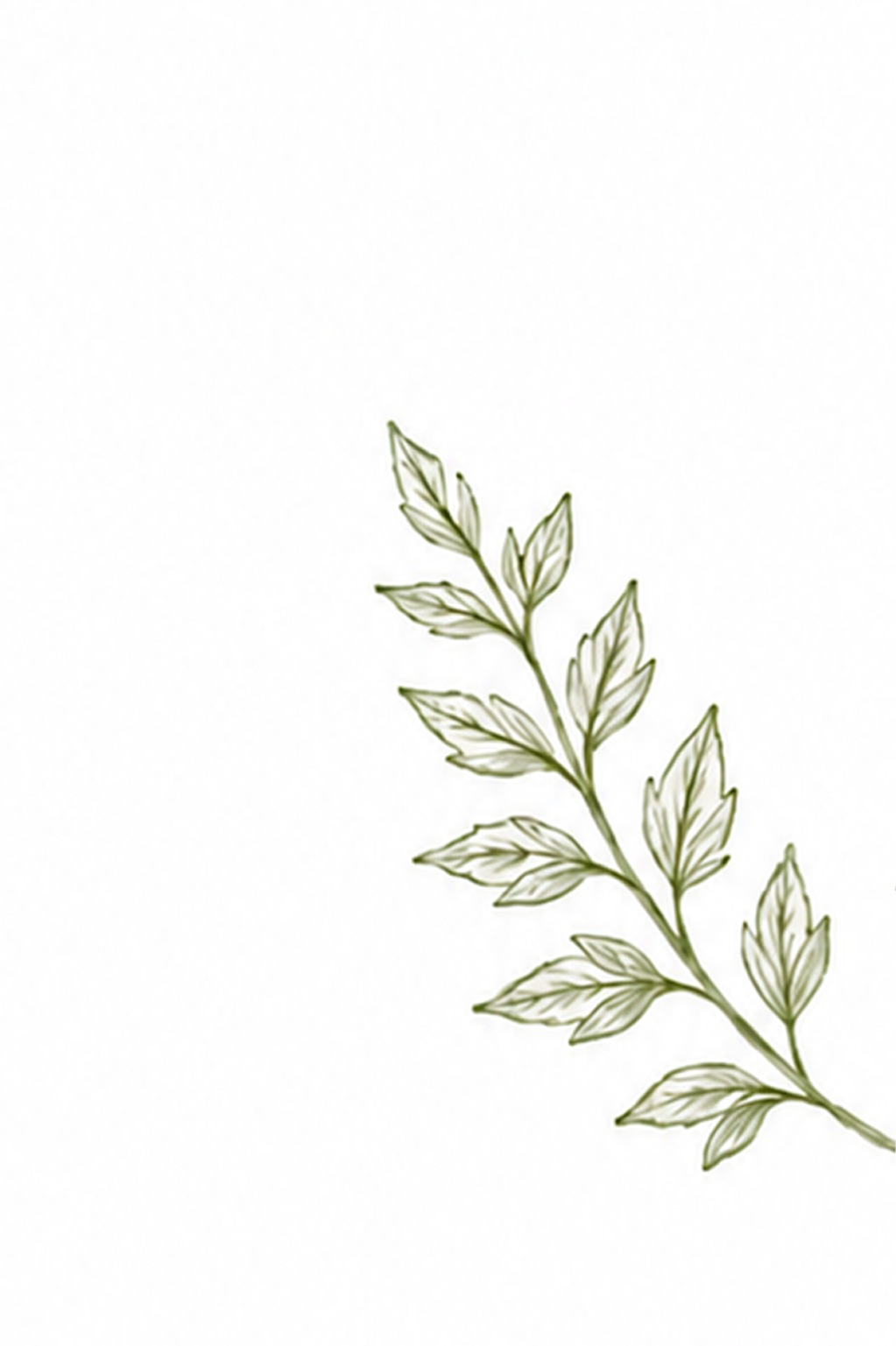 Zingerone Exporters