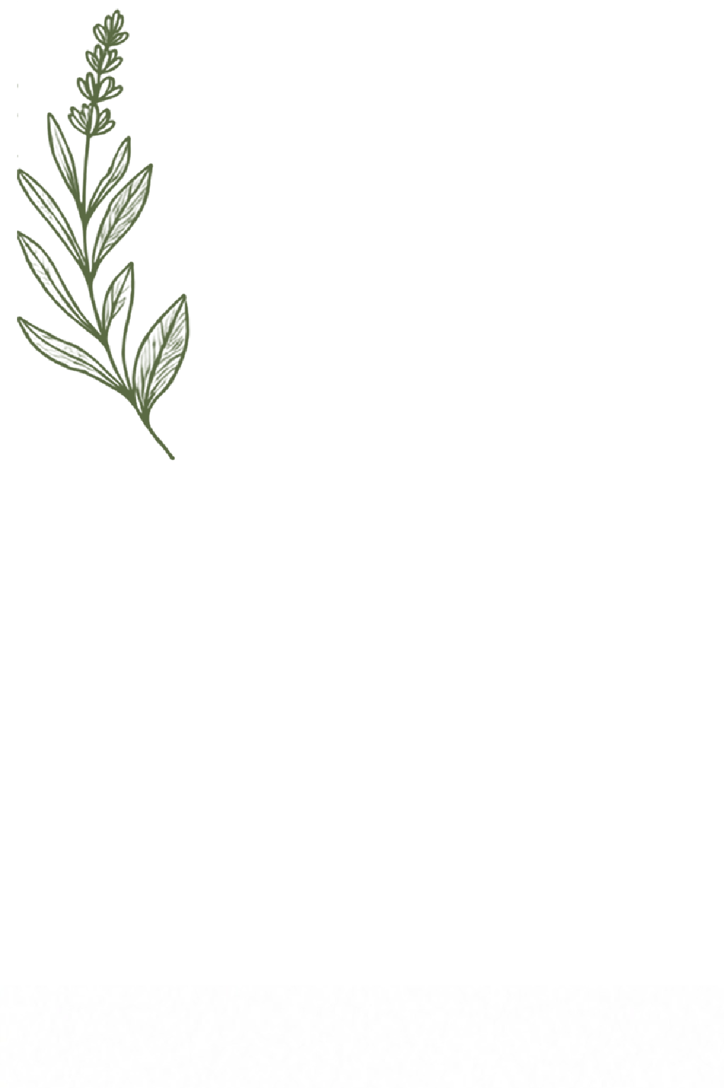 Clove Bud Oil
