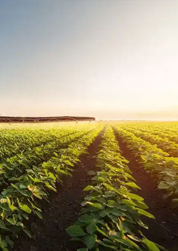 Sustainability & Corporate Social Responsibility (CSR)